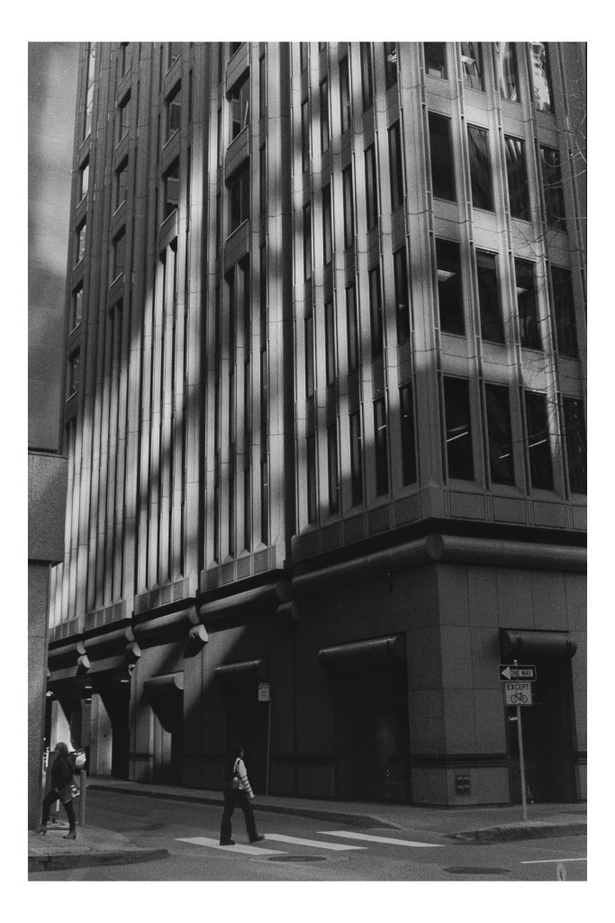 Untitled. San Francisco, USA. 2024.